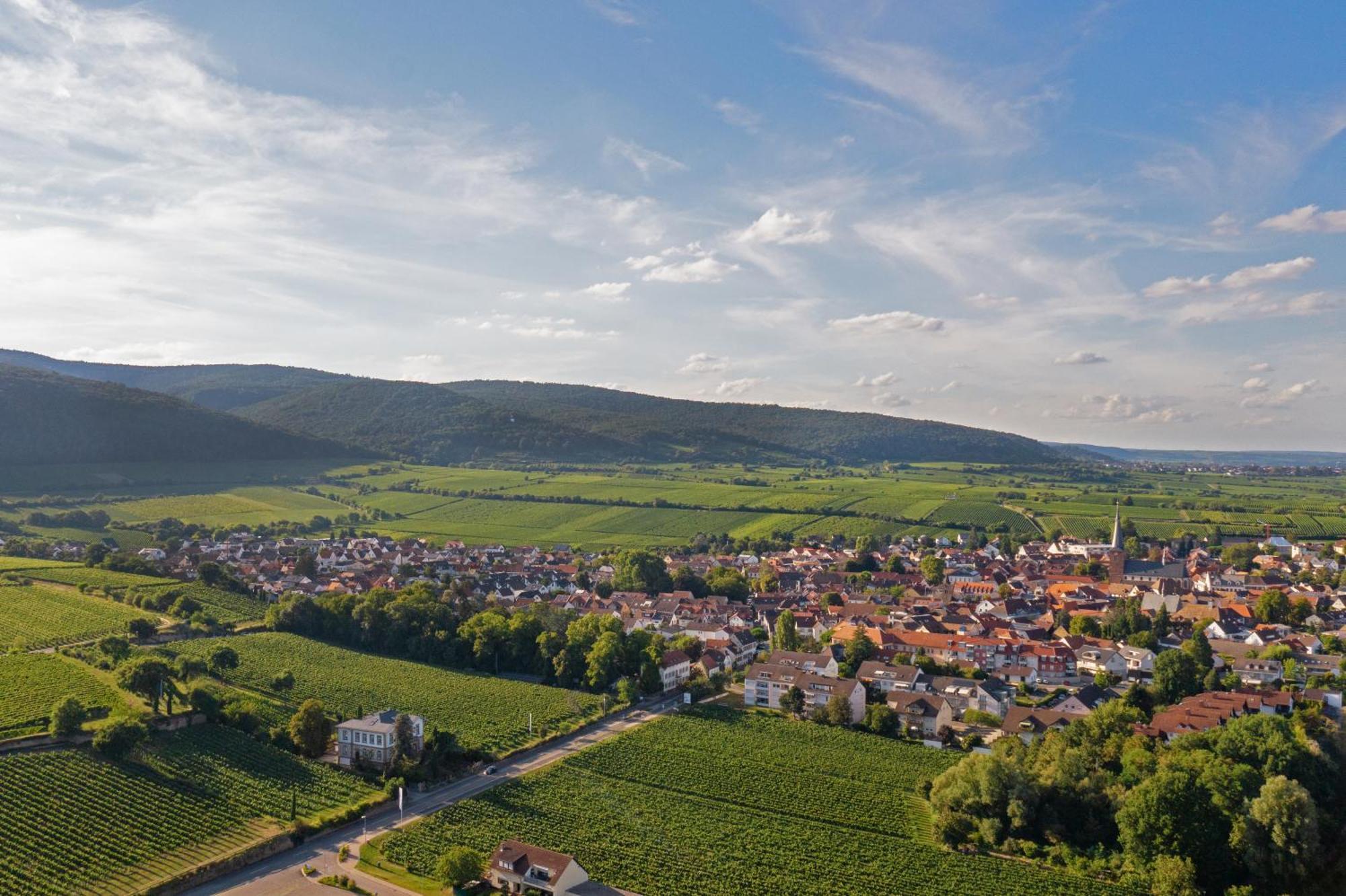 Deidesheimer Haus ภายนอก รูปภาพ